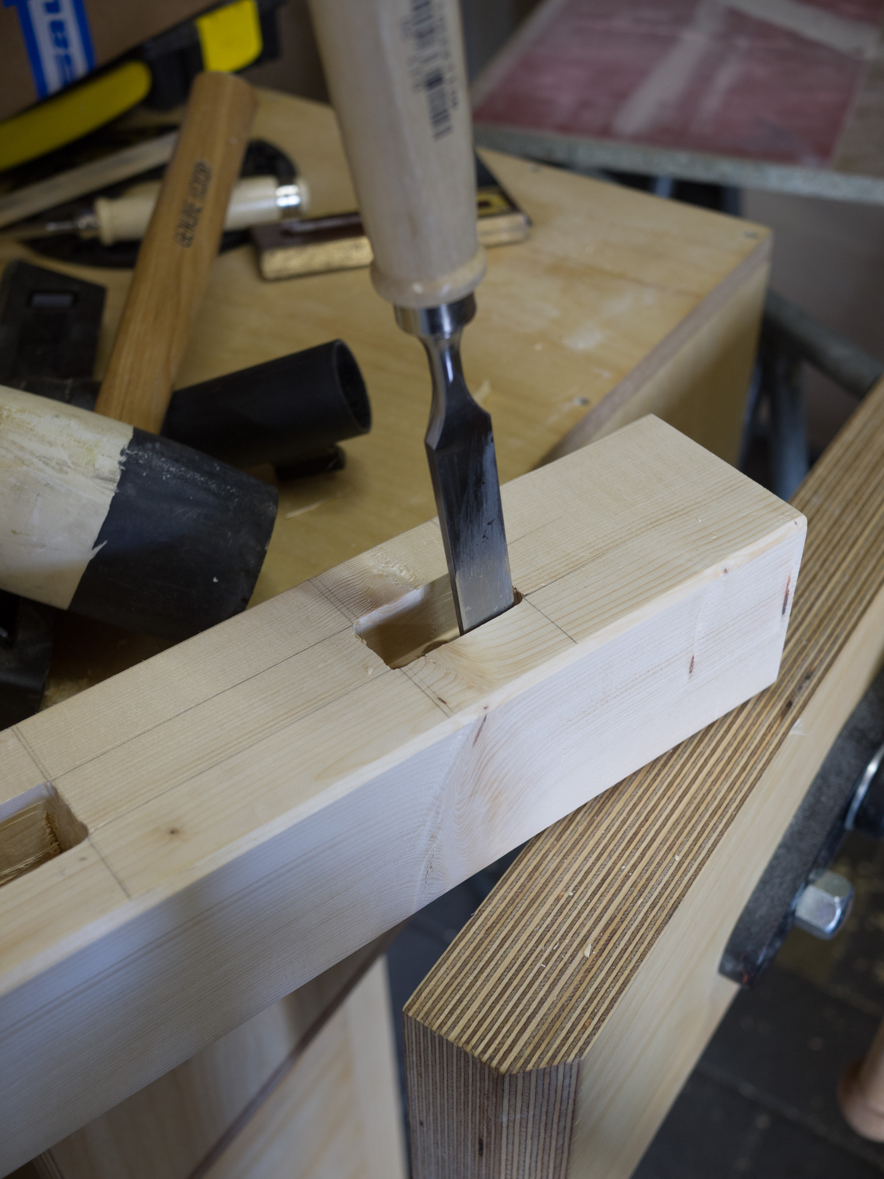 20160511 Gartenzaun 025